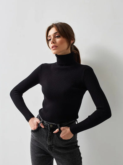 Essential Turtleneck Knit Sweater