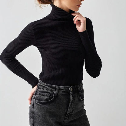 Essential Turtleneck Knit Sweater