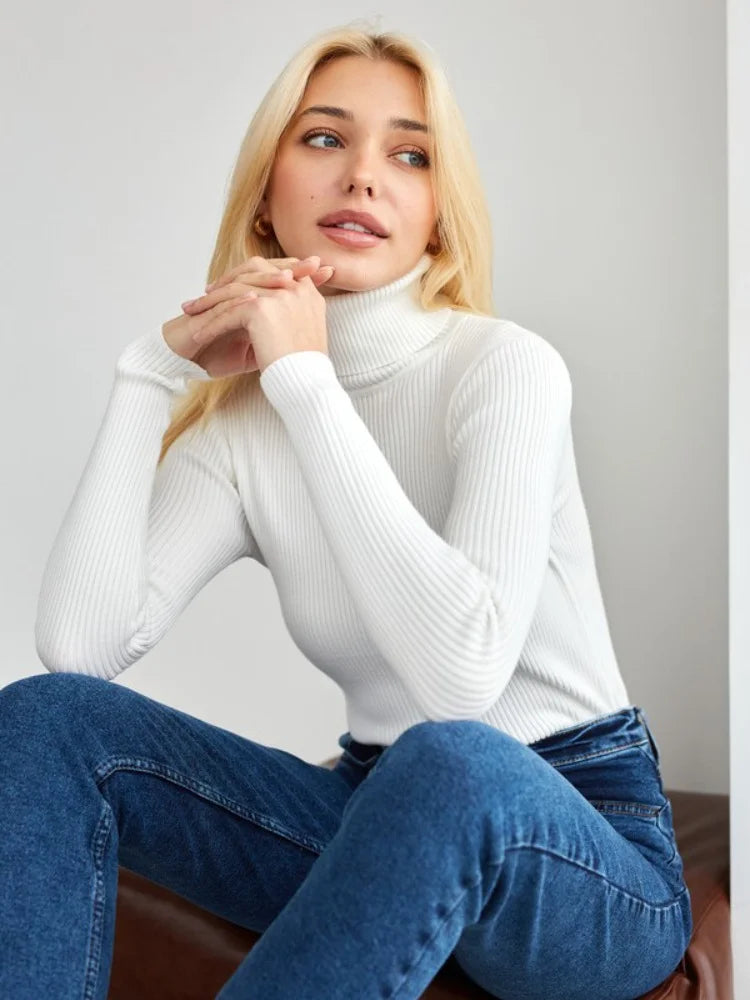 Essential Turtleneck Knit Sweater