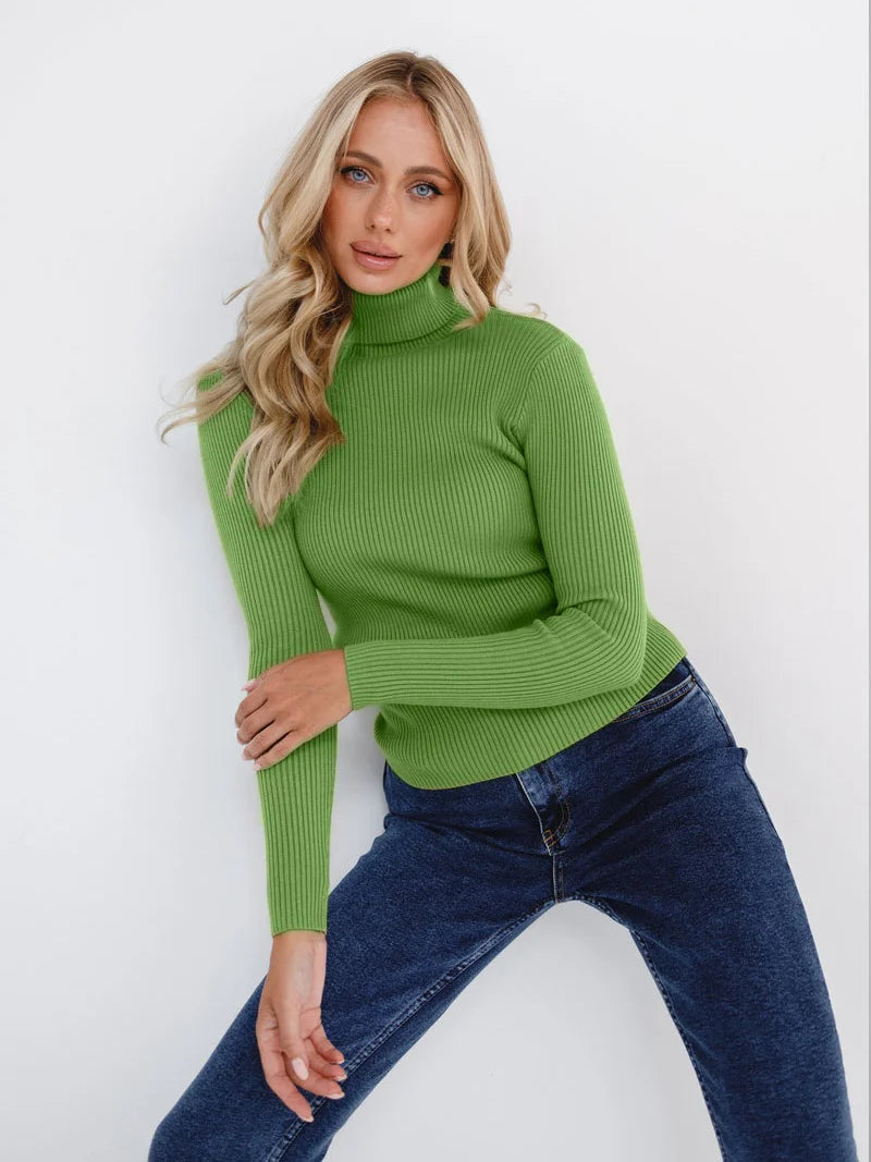 Essential Turtleneck Knit Sweater