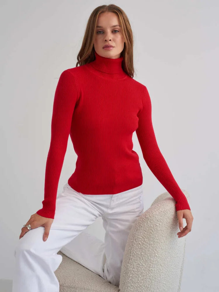 Essential Turtleneck Knit Sweater