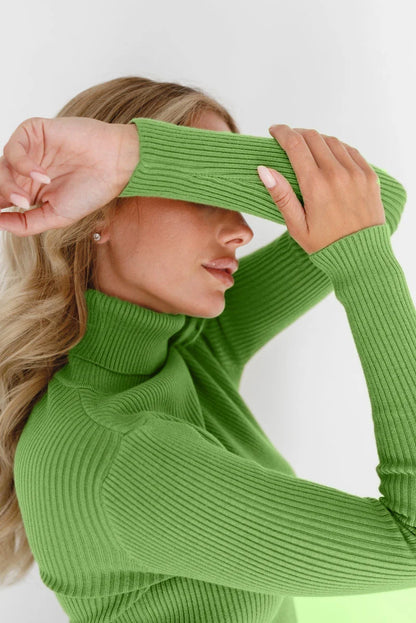 Essential Turtleneck Knit Sweater