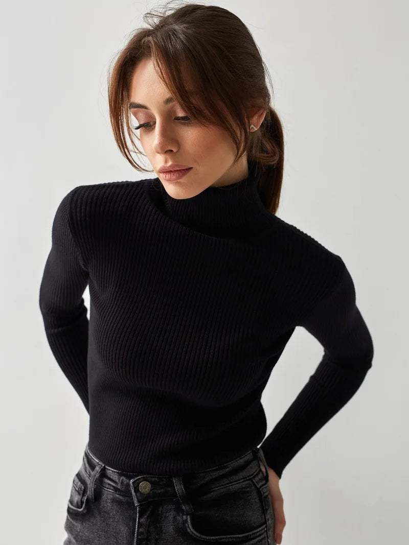 Essential Turtleneck Knit Sweater